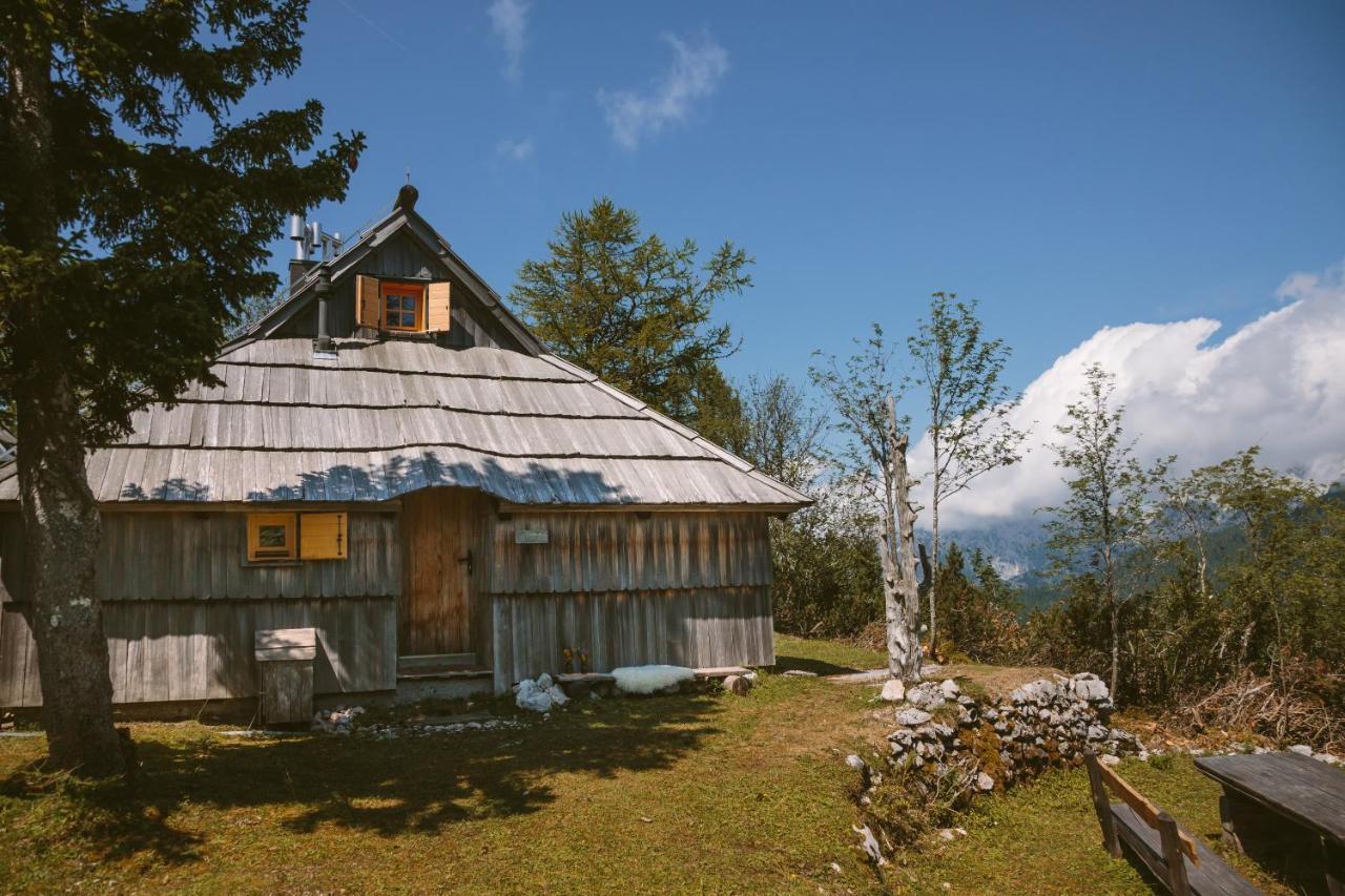 Chalet Orlica Velika Planina Stahovica 외부 사진